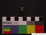 L_V23d3926 J4q121.2 U912 dM la f58